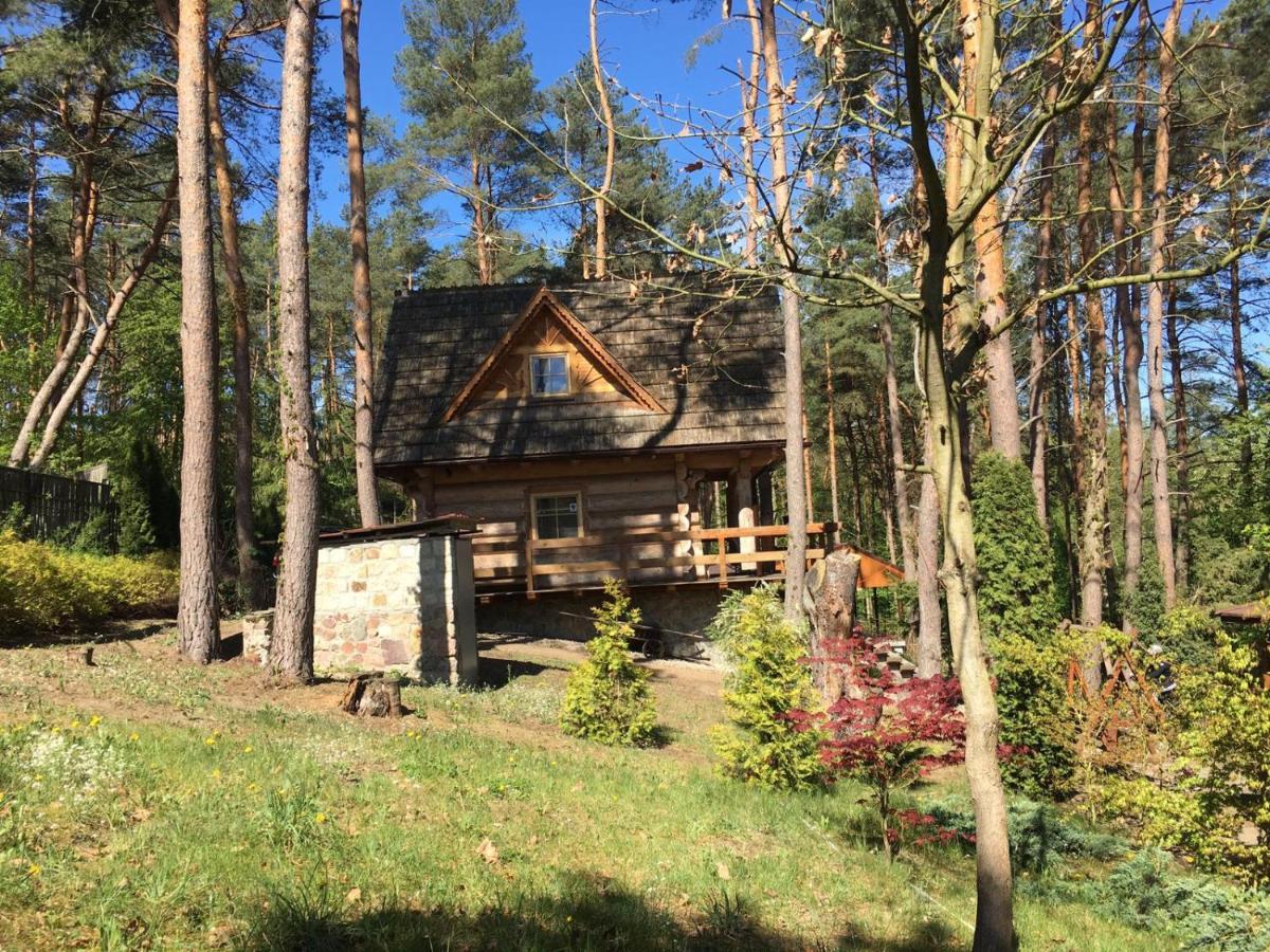 Domek Z Bali Tryszczyn Nad Brda Екстериор снимка