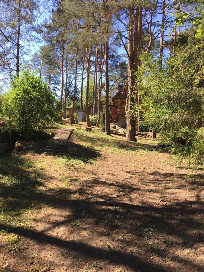 Domek Z Bali Tryszczyn Nad Brda Екстериор снимка