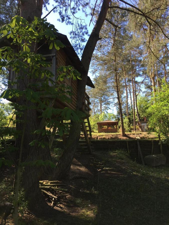Domek Z Bali Tryszczyn Nad Brda Екстериор снимка